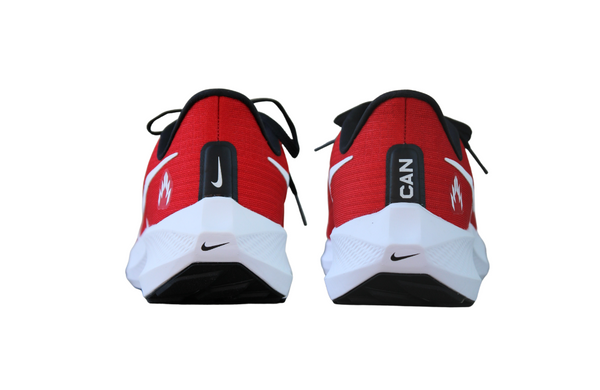 Nike Canada Air Zoom Pegasus 39 pour femmes