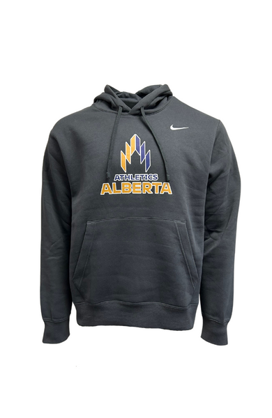 Nike team 2025 club hoodie grey