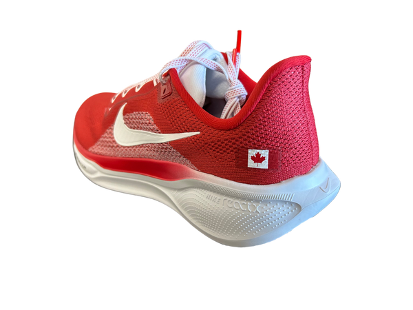 Men's Nike Canada Air Zoom Pegasus 41