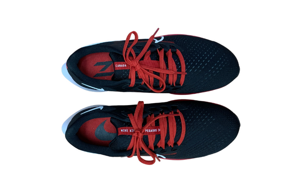 Nike air zoom pegasus 2025 38