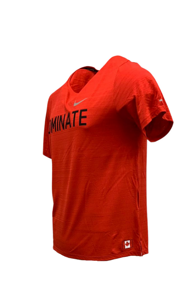 Nike dri fit 2025 t shirt mens