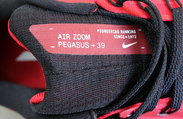 Nike Canada Air Zoom Pegasus 39 pour hommes