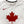 Women's Nike Canada Dry Miler Short Sleeve Tee